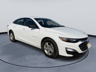 2023 Chevrolet Malibu FL